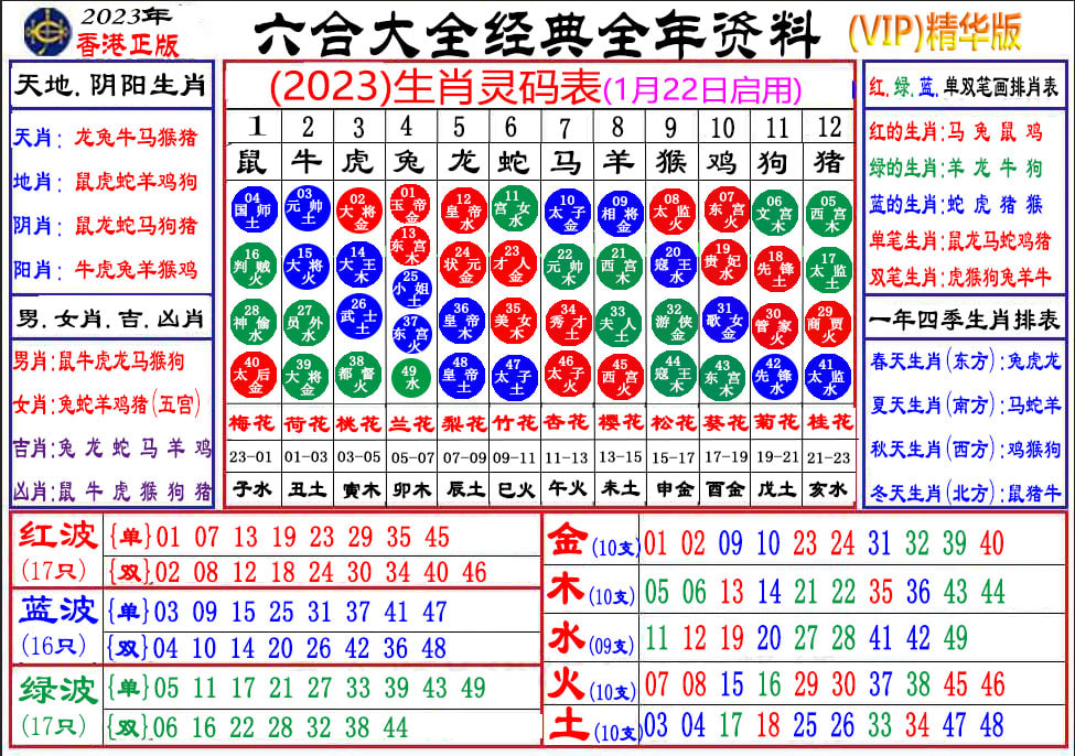 大赢家